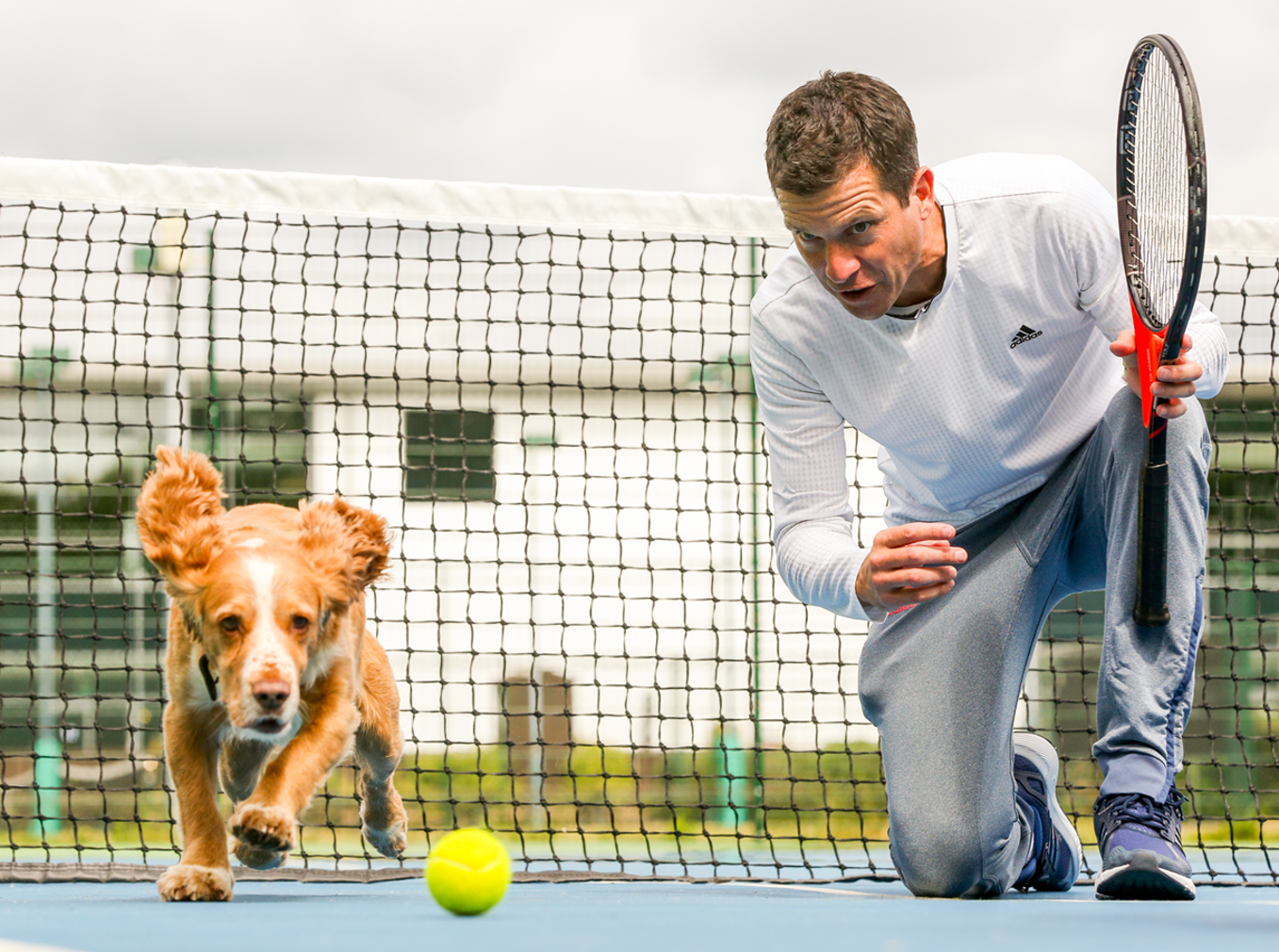 Balldogs project visual